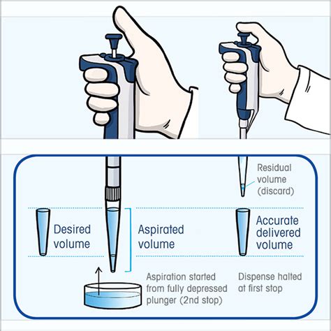 journey of a pipette tip|how to handle pipette tips.